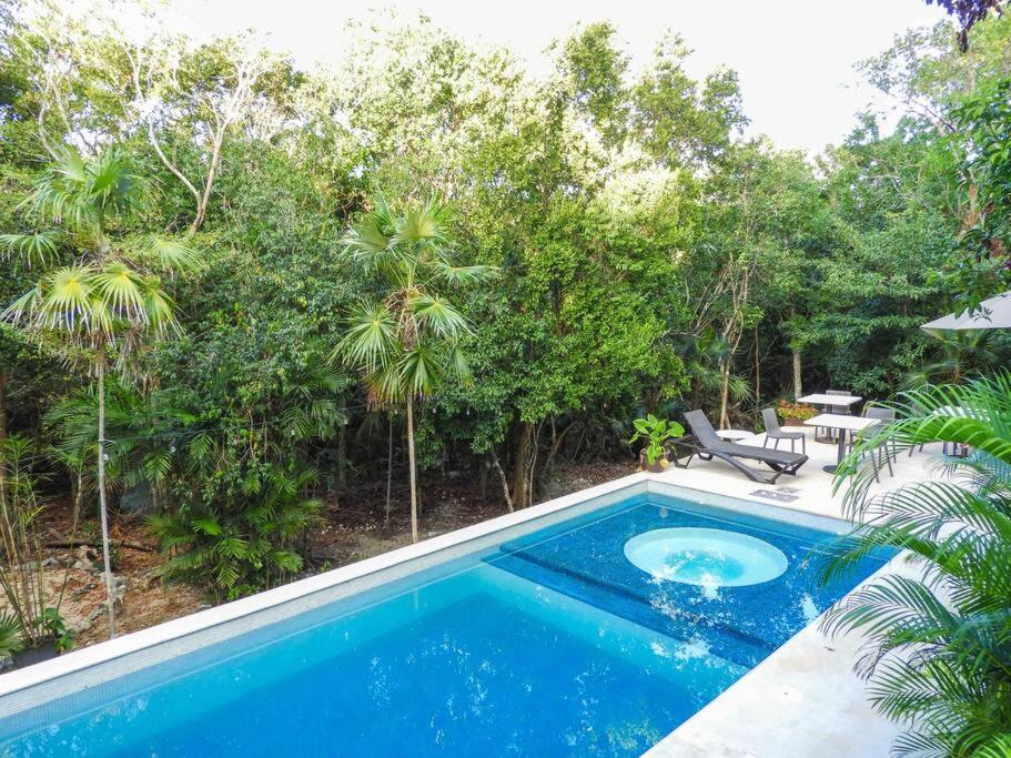 Aku-Chic Newly Furbished Condo Jungle Pool Xetna Eksteriør billede