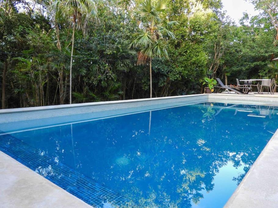 Aku-Chic Newly Furbished Condo Jungle Pool Xetna Eksteriør billede